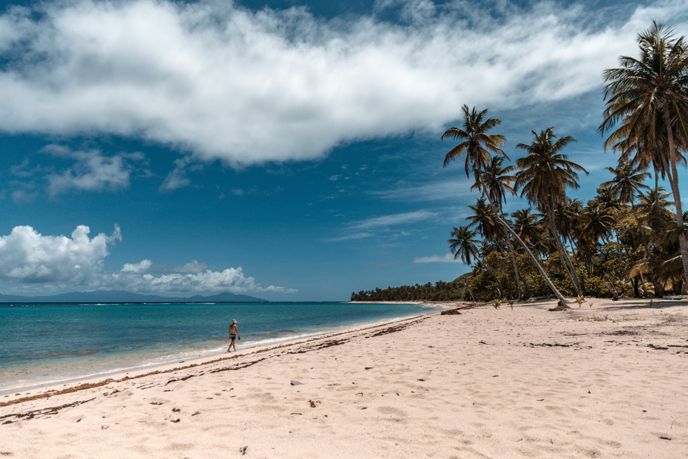 Explorer la Guadeloupe : les meilleurs endroits à visiter